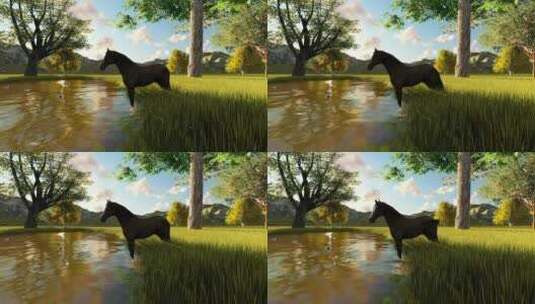 一匹马从湖里喝水的动画高清在线视频素材下载