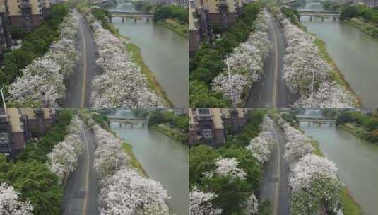 航拍城市风景 车流高清在线视频素材下载