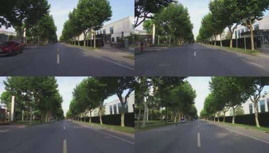 绿树成阴的道路高清在线视频素材下载