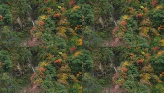 秋季深山彩林瀑布航拍风景高清在线视频素材下载
