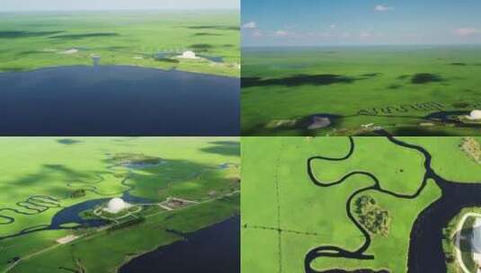 扎龙国际自然保护区丹顶鹤湿地航拍高清在线视频素材下载