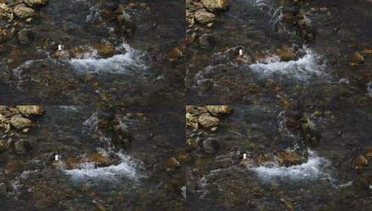 山水 河流 水流湍急高清在线视频素材下载
