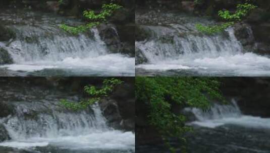 杭州云溪竹径春雨溪流升格视频合集高清在线视频素材下载