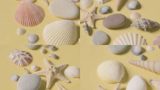 桌子上的贝壳鹅卵石海星特写高清在线视频素材下载
