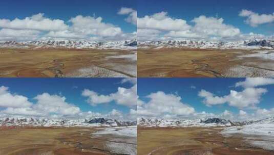 雪山下的羊群高清在线视频素材下载