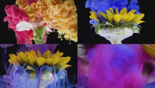 绚丽多彩的水中颜料、鲜花实拍升格视频素材高清在线视频素材下载