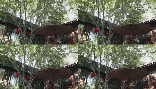 老北京四合院建筑历史文化树木高清在线视频素材下载