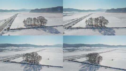 4k航拍雪后的山林高清在线视频素材下载