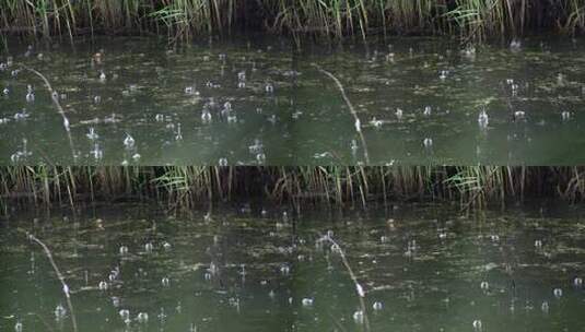 实拍下雨场景视频素材高清在线视频素材下载