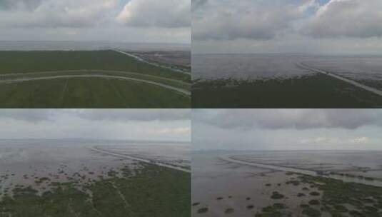 上海崇明岛航拍草地平原天际线海岸滩涂高清在线视频素材下载