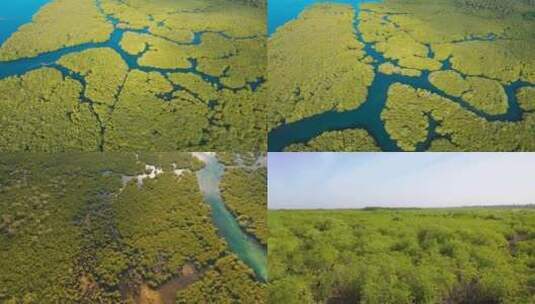 东北平原 湿地 美丽中国 生态高清在线视频素材下载