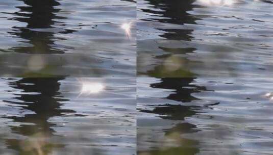 波光粼粼的水面河面水波纹湖面倒影高清在线视频素材下载