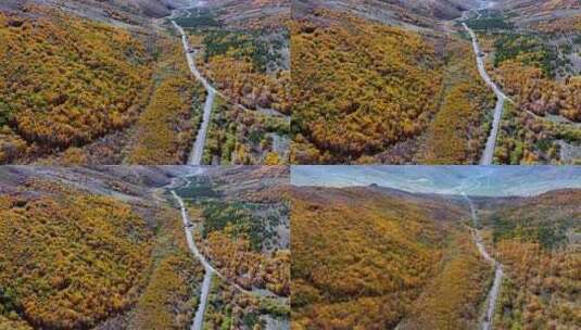 秋天五彩的山谷道路高清在线视频素材下载