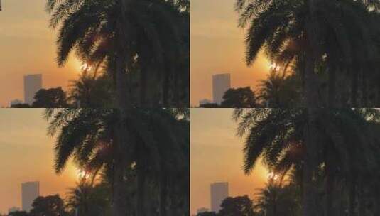 城市夕阳唯美风景日落黄昏晚霞阳光树叶日出高清在线视频素材下载