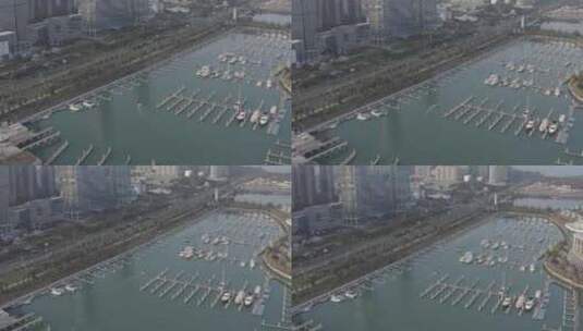 福建省厦门市思明区香山国际游艇会航拍高清在线视频素材下载