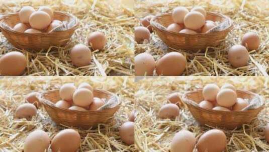 新鲜的鸡蛋   鸡蛋广告  土鸡蛋高清在线视频素材下载