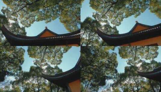 宁波阿育王古寺庙阳光下的建筑与屋檐高清在线视频素材下载