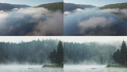 山间森林云雾云海雨滴雾蒙蒙高清在线视频素材下载
