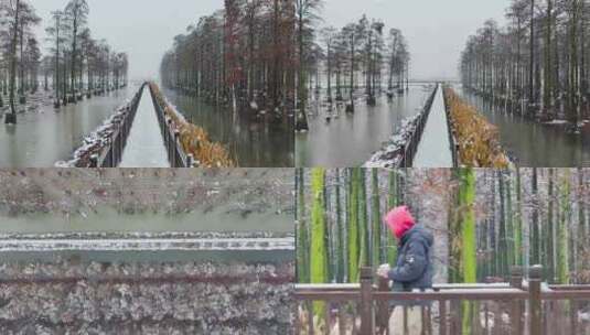 涨渡湖雪景行走高清在线视频素材下载