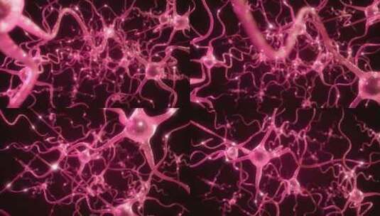 神经元细胞的动画。神经细胞在大脑中的活动高清在线视频素材下载