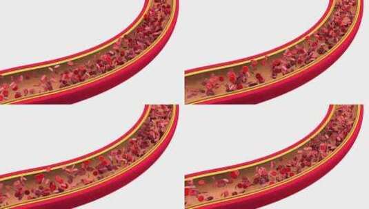 流经静脉或动脉的红细胞高清在线视频素材下载