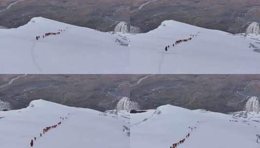 攀登冰川之父慕士塔格峰雪山的登山队高清在线视频素材下载