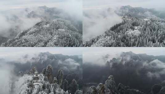 张家界 自然 雪松 武松 风光 冬天云雾高清在线视频素材下载