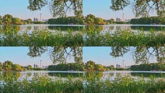 北京朝阳公园夏季傍晚夕阳湖面风光高清在线视频素材下载
