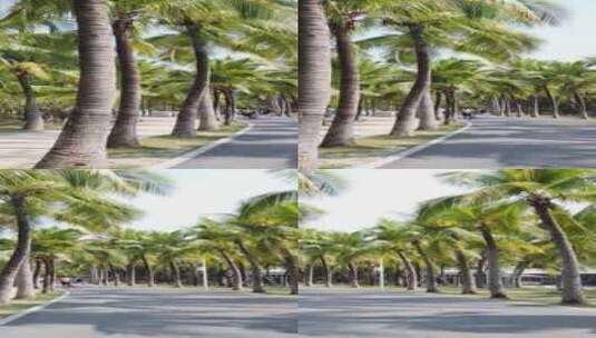 海南省三亚市西岛风光椰风长廊竖屏高清在线视频素材下载