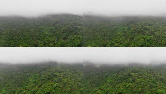 吊罗山云雾林延时空镜纪录片转场热带雨林高清在线视频素材下载