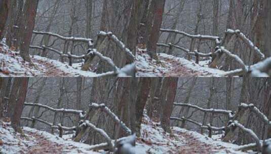 栅栏，树木，雪，冬天高清在线视频素材下载