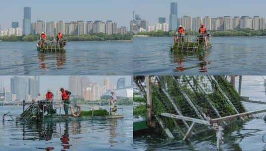 沈阳浑河保洁水草清理盛京大剧院青年大街桥高清在线视频素材下载