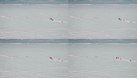 探险家在南极拍摄企鹅高清在线视频素材下载