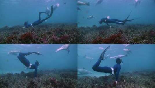 在海底浮潜的女人高清在线视频素材下载