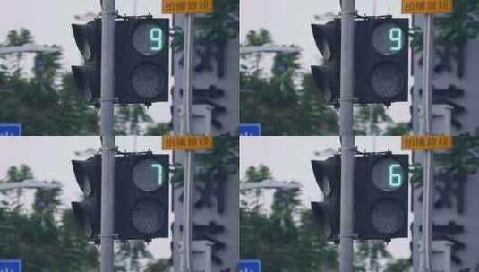 交通信号灯，人行道红绿灯视频素材高清在线视频素材下载