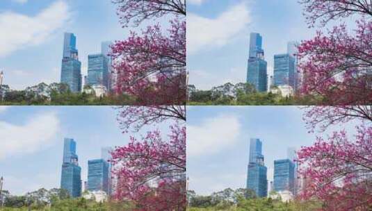 南宁东盟商务区高楼大厦延时摄影高清在线视频素材下载