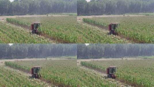 农业机械收割玉米高清在线视频素材下载