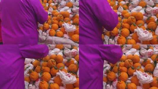 【镜头合集】菜市场买沃柑粑粑橙橘子橙子高清在线视频素材下载