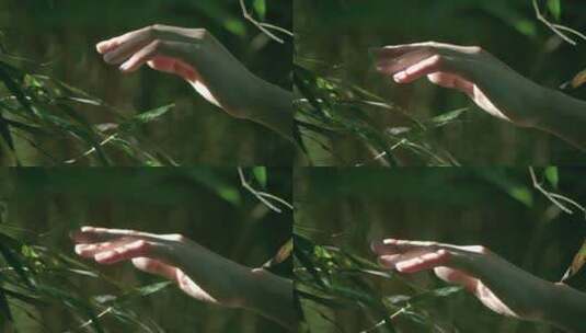 下雨的树林中女孩伸手抚摸竹叶唯美视频素材高清在线视频素材下载