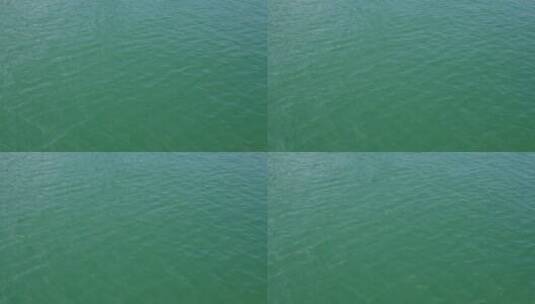 碧绿的湖面高清在线视频素材下载