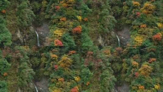 无人机航拍秋天彩林瀑布大山深处美景高清在线视频素材下载