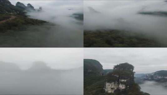 有幸拍到了雨后透明的美景，治愈系风景高清在线视频素材下载