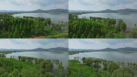 【正版素材】玉溪江川湿地公园航拍0550高清在线视频素材下载