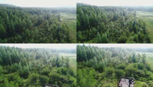 航拍森林湿地高清在线视频素材下载