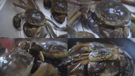 煮螃蟹全过程高清在线视频素材下载