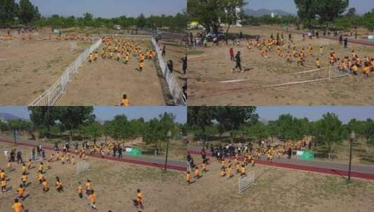 斯巴达勇士少年儿童户外体育运动比赛高清在线视频素材下载