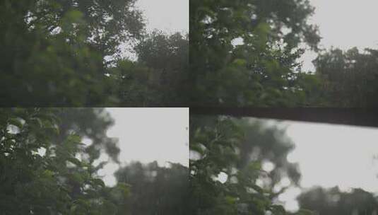 实拍下雨场景视频素材高清在线视频素材下载