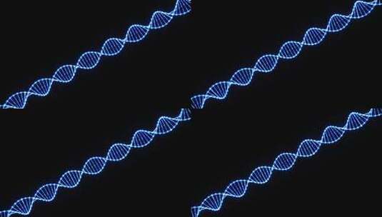【全息】dna基因序列旋转-02高清在线视频素材下载