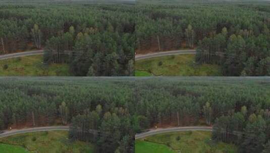 波兰波莫斯基地区松树和绿地之间的乡村道路，无人机视图高清在线视频素材下载