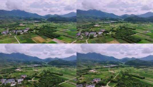 新农村农村稻田航拍高清在线视频素材下载